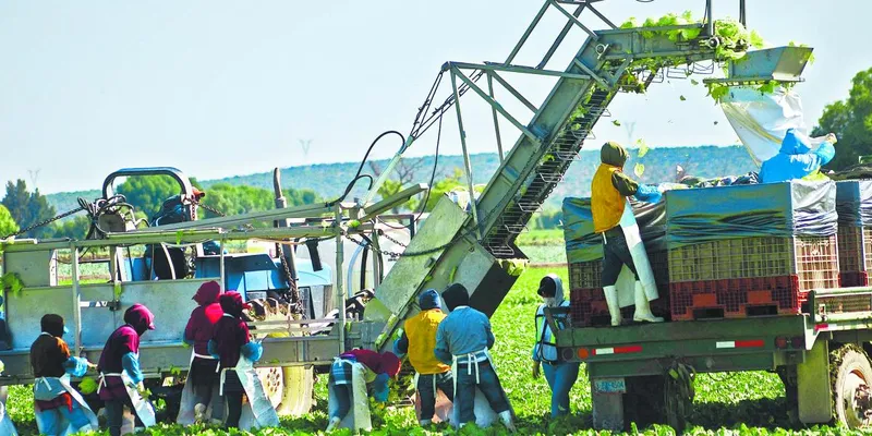 PIB aceleró 1.5% en el II Trim, impulsado por factores temporales