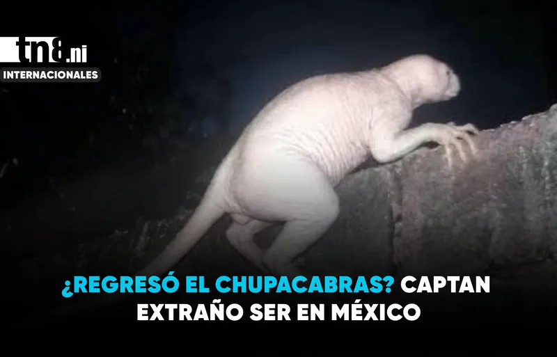 ¿Chupacabras en México? Jaime Maussan revela inquietantes imágenes