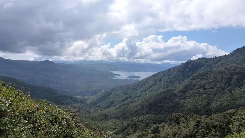 Hay más de 800 detenidos tras amplio operativo regional en defensa de la Amazonía