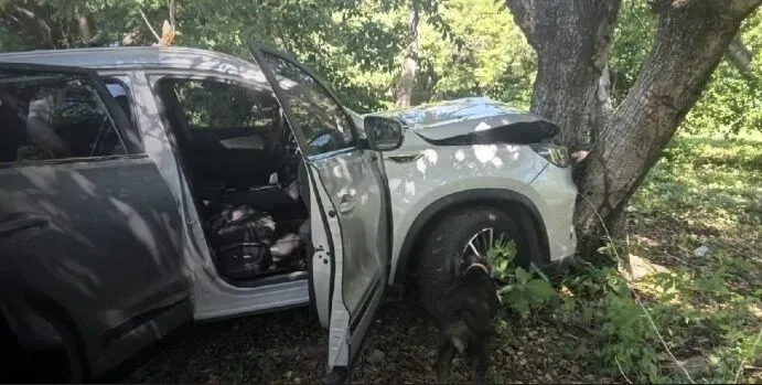 Conductor pierde control por dolor en el pecho y choca contra árbol en la Isla de Ometepe