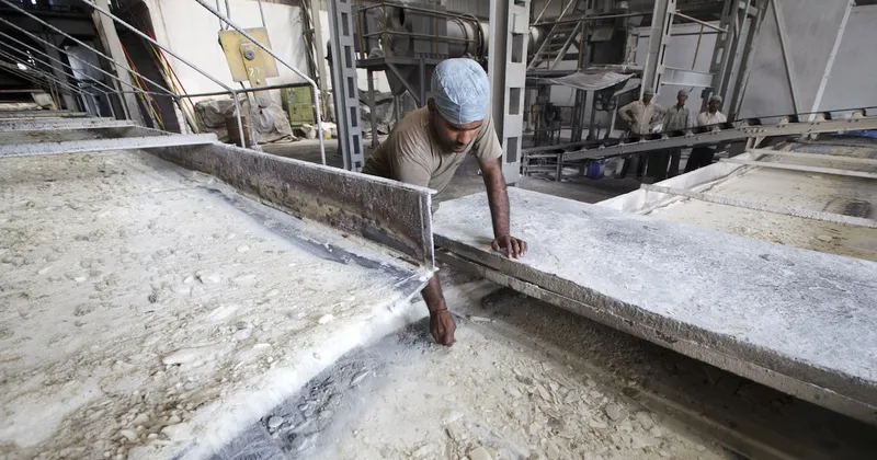 El azúcar sube a máximos de 17 meses por retrasos en la molienda de Brasil y la demanda de India