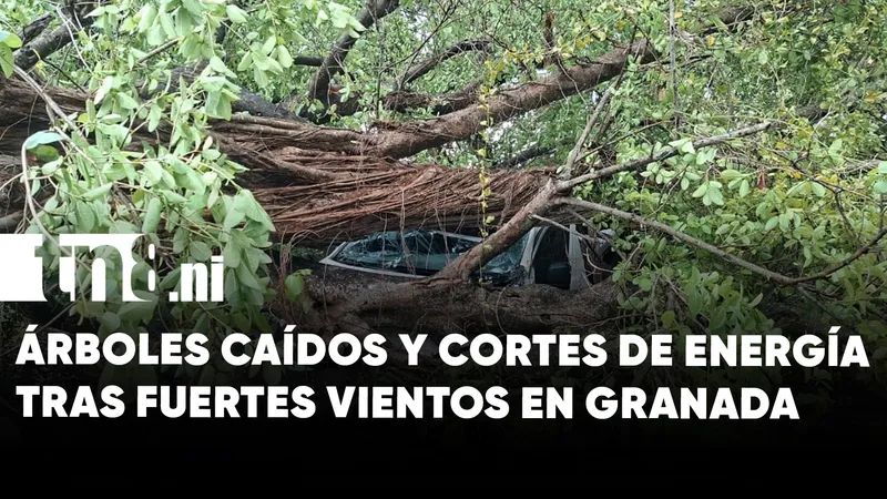 Vientos fuertes y caídas de árboles sorprenden a Granada