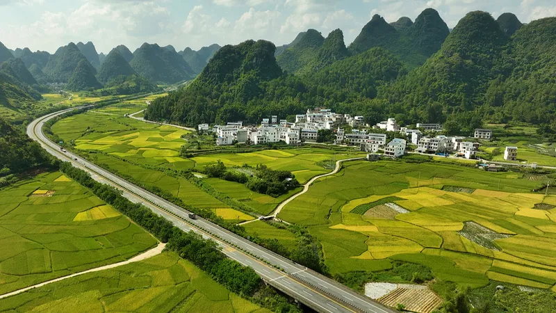 China espera cosecha total de granos para 2026, con progreso constante en agricultura y desarrollo rural