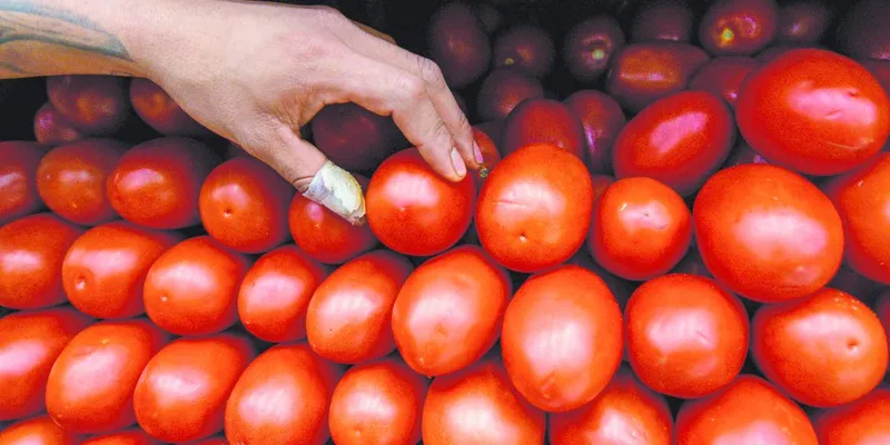 En el II Trim. PIB creció 1.4%; su mejor registro desde el 2022