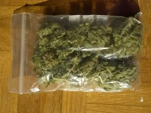 Incautan más de 4 libras de marihuana y arrestan a dos sujetos en Wiwilí, Jinotega