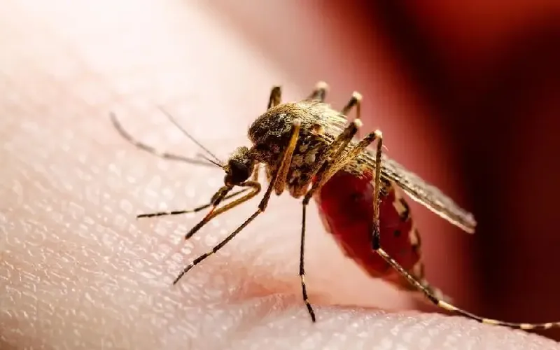 Situación epidemiológica al sábado 20 de junio 2026