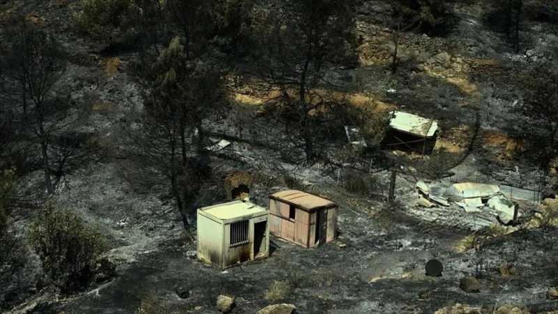 España afronta una de las peores oleadas de incendios forestales