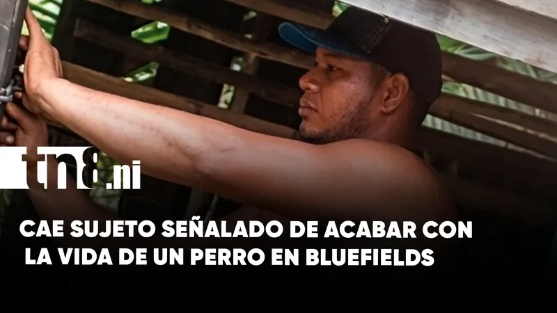 Capturan a sujeto que mató cruelmente a su perro en Bluefields