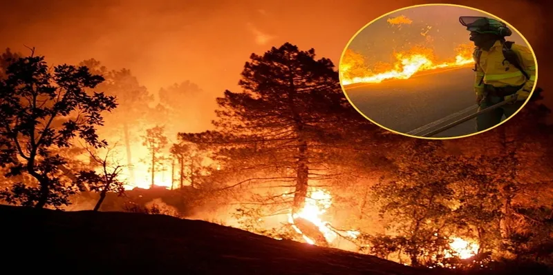 Incendio forestal deja 12 muertos en Andalucía España