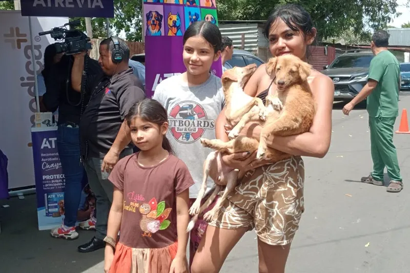 MINSA vacunará a más de 220 mil perros contra la rabia en Managua