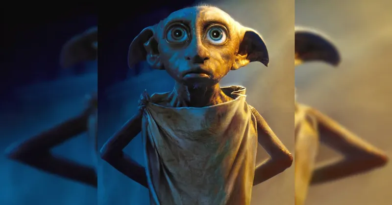 Fans de Harry Potter salvan la “tumba” de Dobby de millonario cable submarino entre Irlanda y Gales