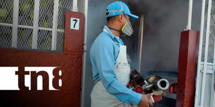 ¡A limpiar los patios! MINSA combate al mosquito en Reparto España