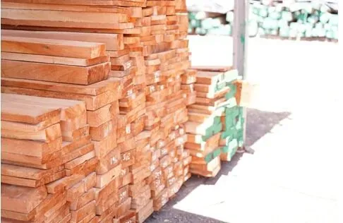 Autoriza MARENA exportaciones forestales por US$1.3 millones en 2026