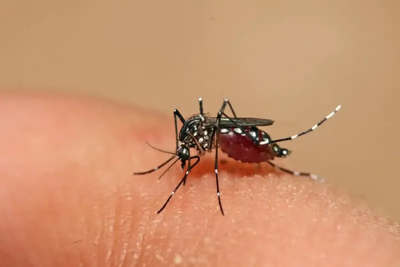 Bajan neumonía y chikungunya en Nicaragua, según reporte del MINSA