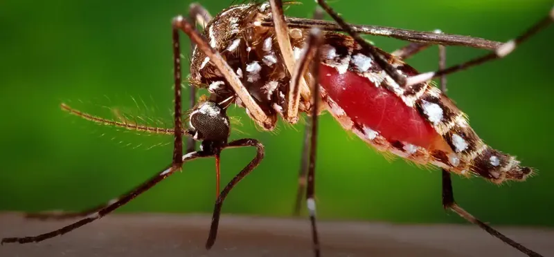 Nicaragua: malaria sube a 82 y gripe a 101 casos