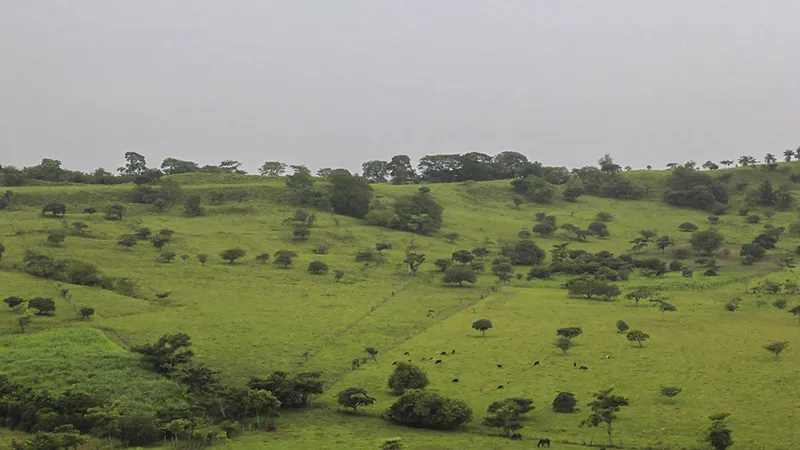 INETER pronostica altas temperaturas y fuertes vientos para este miércoles en Nicaragua