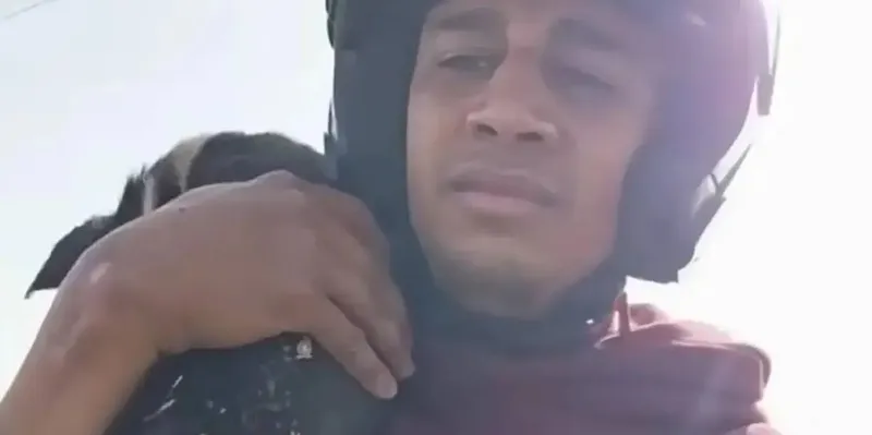Influencer marroquí recibe ocho meses de prisión por publicar video donde cocina un perro...