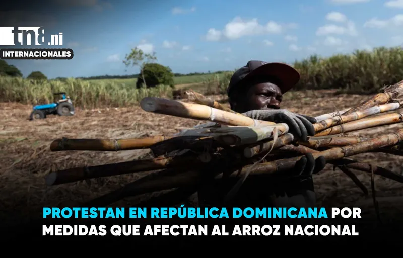 Organizaciones sociales y políticas marchan en República Dominicana en defensa de la producción de...