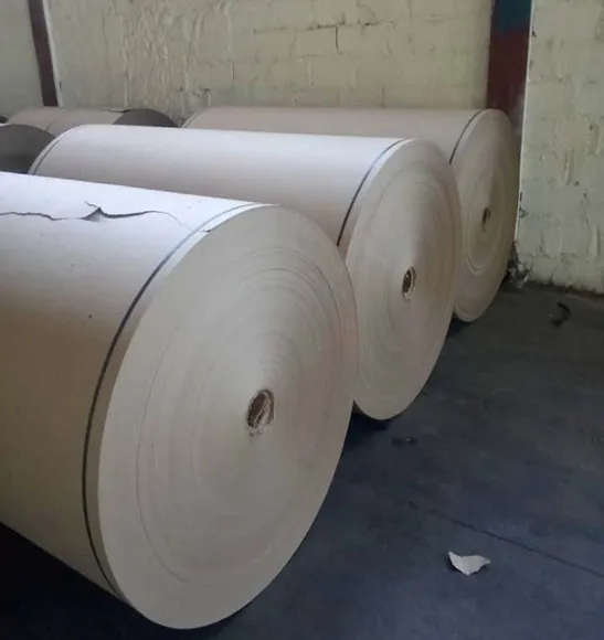 Reanuda producción la papelera Damují en Cienfuegos