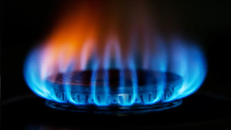 Enviado de Putin da un sombrío pronóstico sobre los precios del gas en Europa