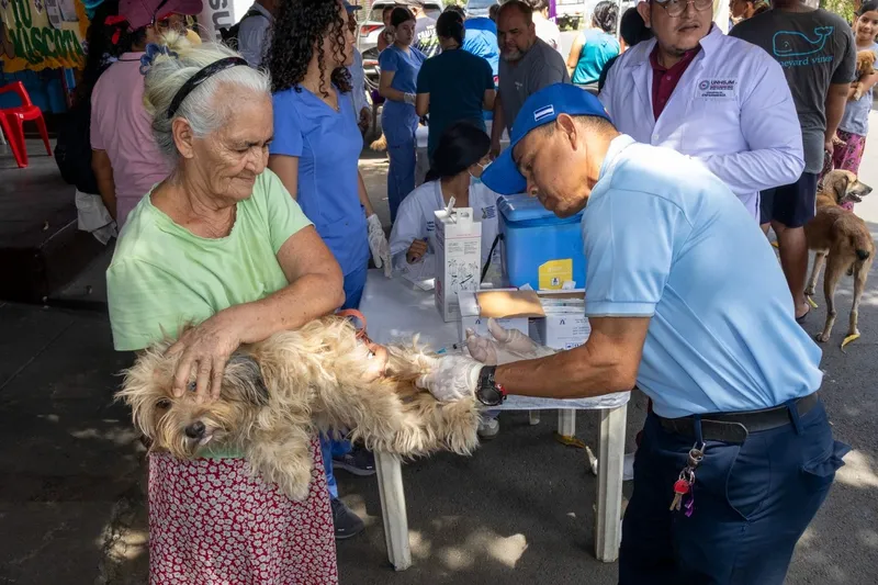 Vacunación antirrábica protegerá a más de 23 mil perros