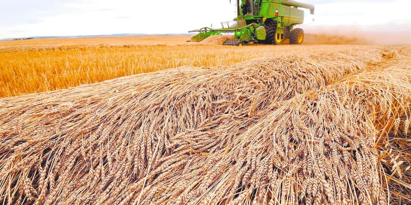 El BM advierte del empeoramiento de la inseguridad alimentaria