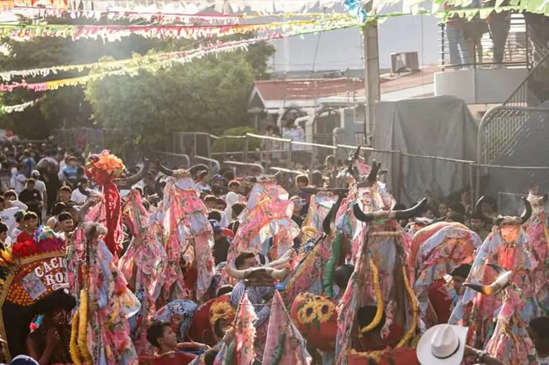 Vacas Culonas cumplen 33 años de tradición en las fiestas de Santo Domingo