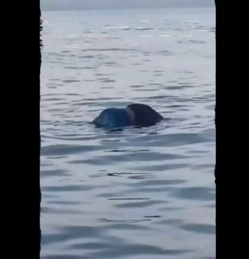 Hallan dos hombres flotando sin vida en El Viejo, Chinandega