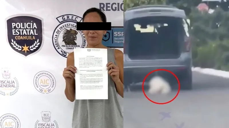 ¿Habrá JUSTICIA para Rocky? Liliana ‘N’ arrastró, atropelló y m4tó a perro en Saltillo