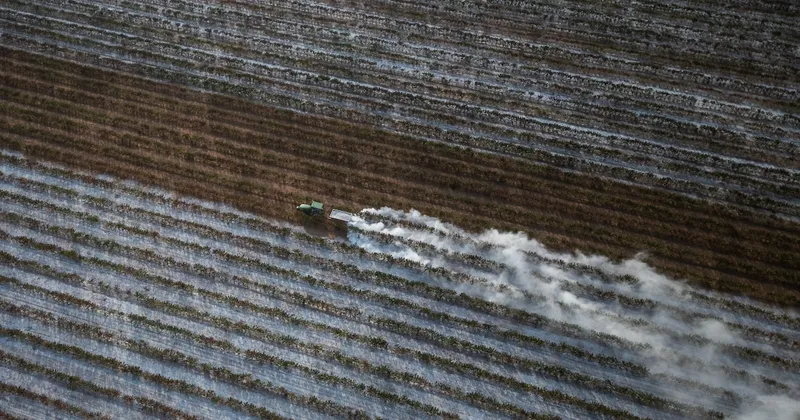 América Latina ante El Niño: Oxford Economics ve menor riesgo que en Asia y África
