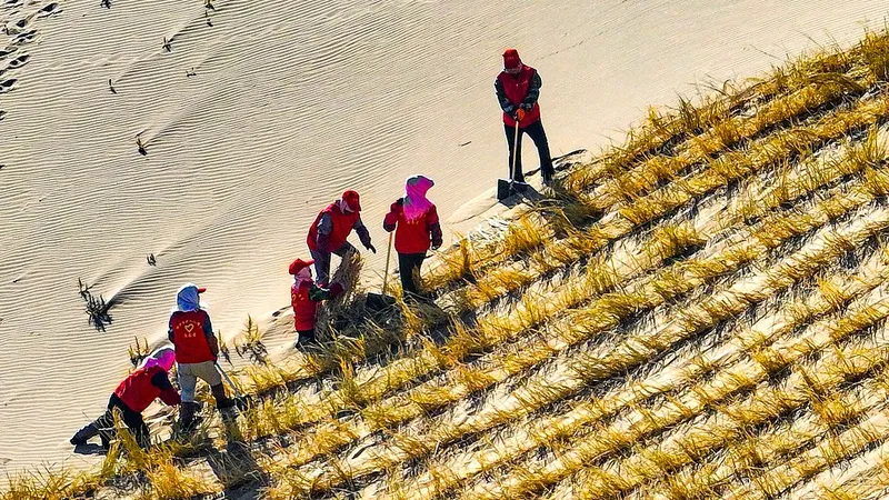 La solución china contra la desertificación está ayudando a "sanar" las tierras del planeta