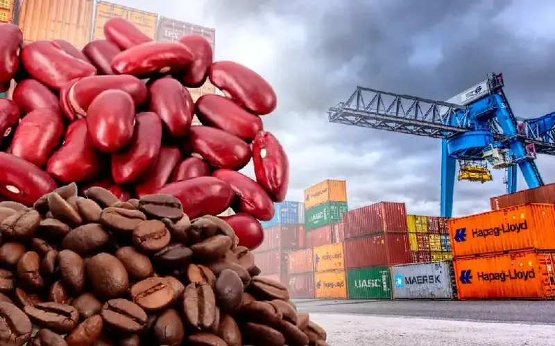 Nicaragua proyecta exportaciones cercanas a los US$9,000 millones en 2026