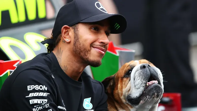 Roscoe, el perrito de Lewis Hamilton, aparece en el altar de Día de Muertos de la F1 en México