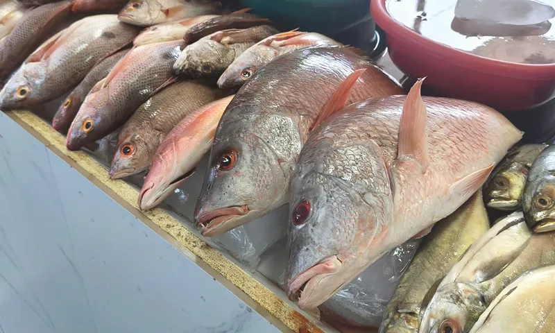 Pargo rojo y tomates suben de precio en el mercado Israel Lewites