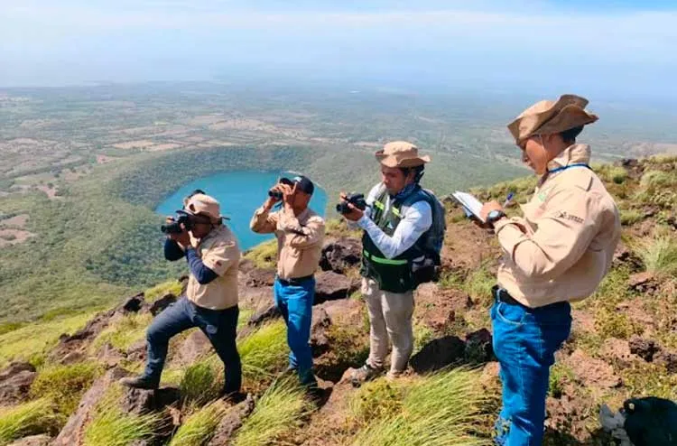 Exhaustivo monitoreo de la biodiversidad del Complejo Volcánico Cerro Negro