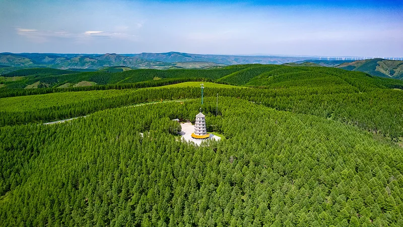 De la desertificación al reverdecimiento: el milagro ecológico de China
