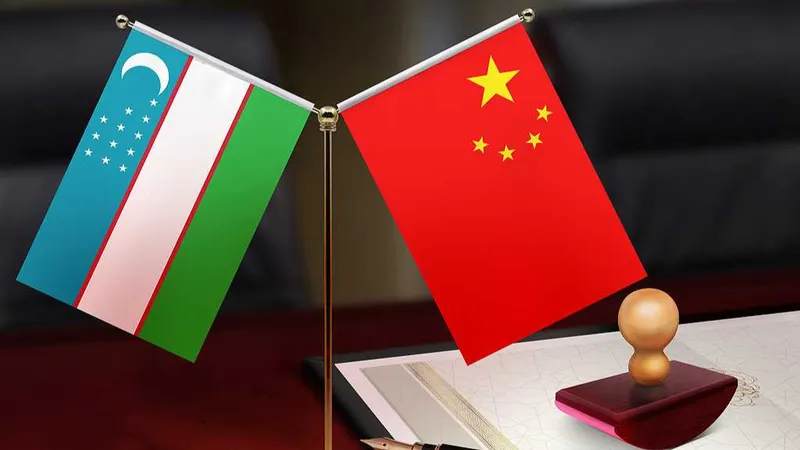 Xi Jinping se reúne con presidente de Uzbekistán