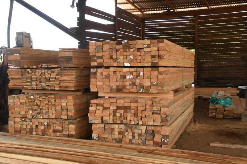 Nicaragua autoriza 87 constancias de exportaciones forestales en 2026