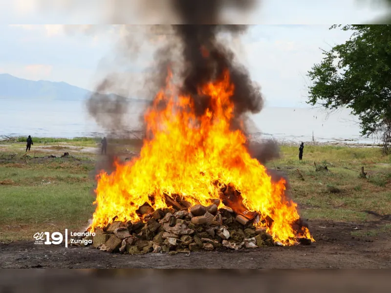Incineran 1.9 toneladas de marihuana incautada al crimen organizado