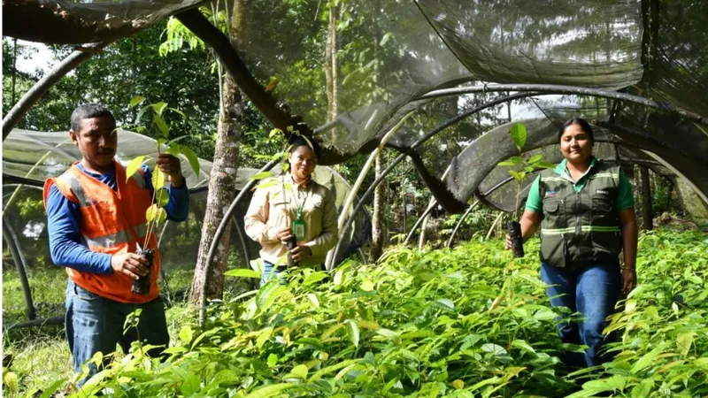 MARENA reporta producción de 300 mil plantas para reforestación en el Caribe Norte