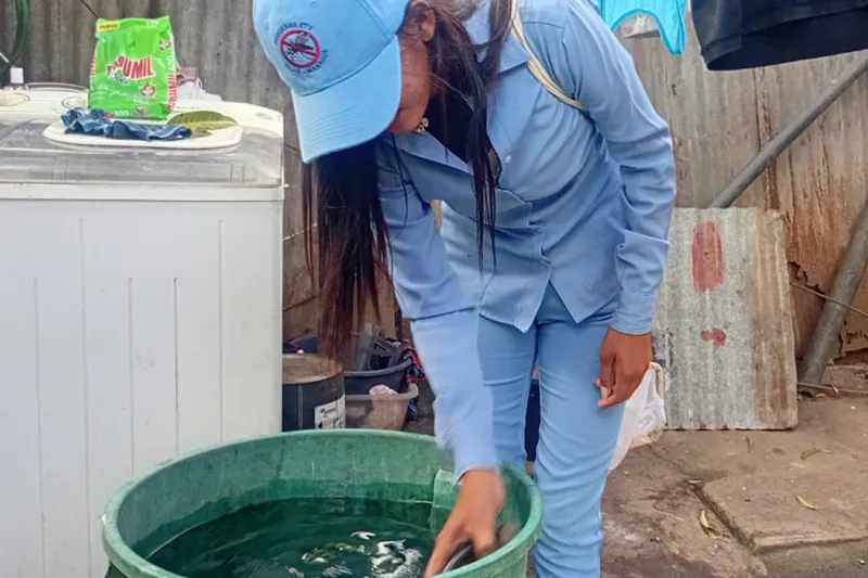 Instan a eliminar criaderos de mosquitos para prevenir el dengue