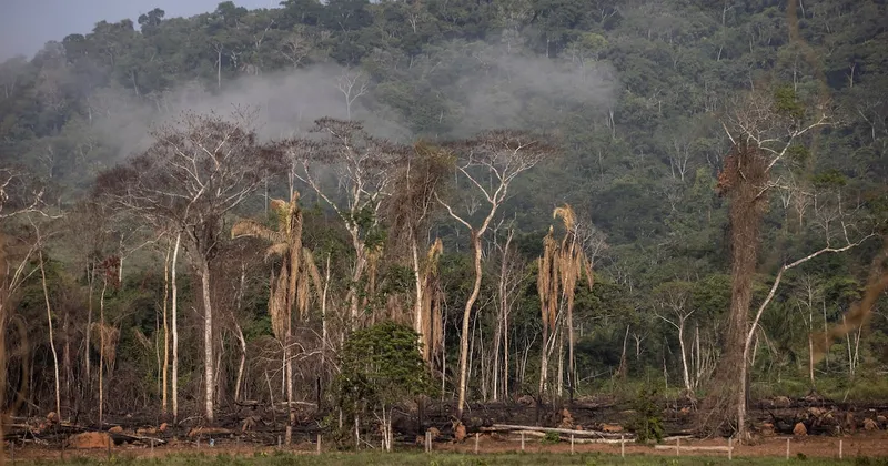 La reelección de Lula descarta un cambio de rumbo de Brasil en materia de clima y deforestación