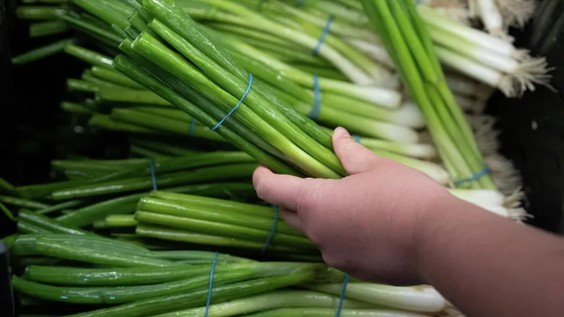 Alimentos contaminados matan a más de 1,5 millones de personas anualmente, dice la OMS
