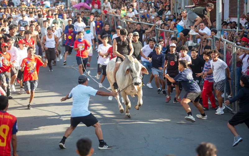 Color y tradición en la celebración de las vacas culonas y la corrida de toros en San José Oriental