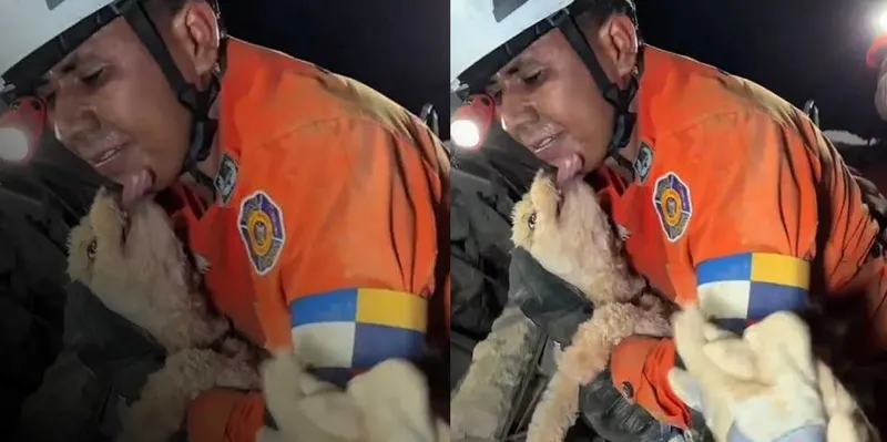 Venezuela no abandona a sus animales: continúa el rescate en las zonas devastadas