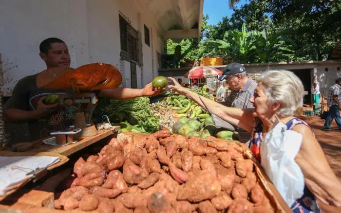 Acercamiento al contenido de la Resolución 16/2026: Los Mercados de Barrio en el Derecho cubano