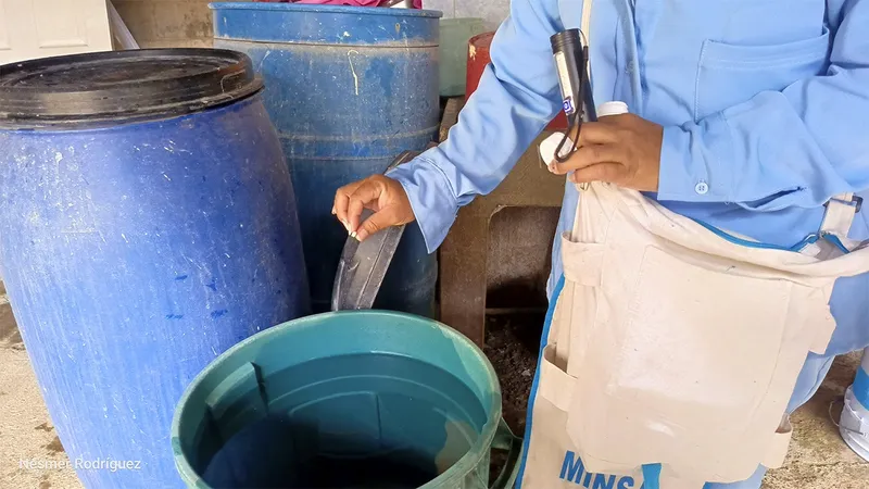 «Al no tener criaderos, no hay zancudos»: desarrollan jornada antiepidémica en Managua