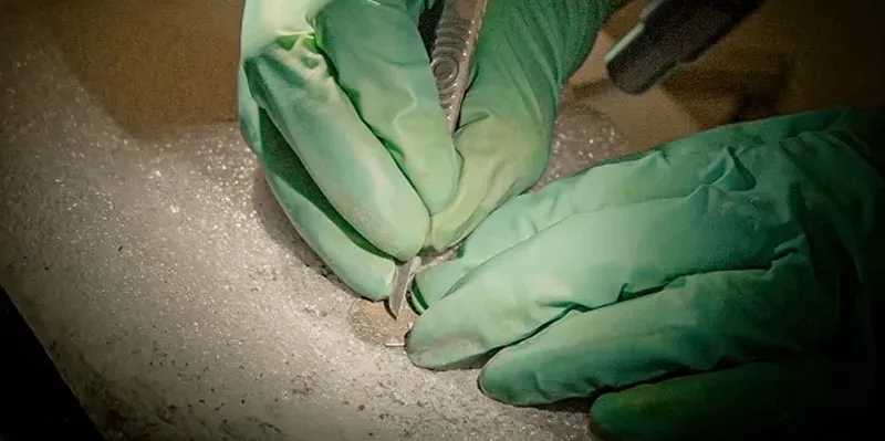 Excavación en Notre Dame revela 2 mil años de historia