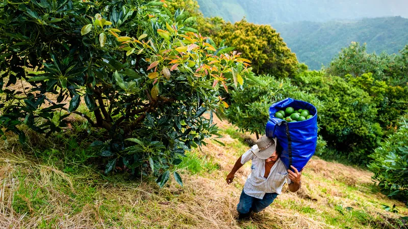El inesperado efecto negativo que podría tener El Niño en América Latina