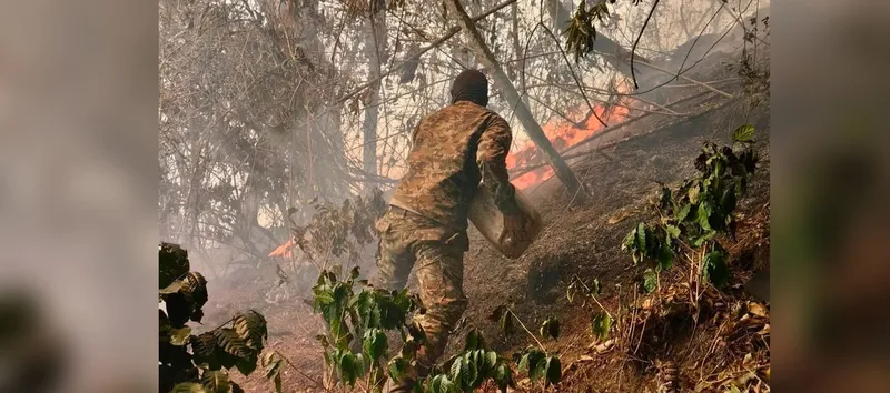 Colombia enfrenta 32 incendios activos en medio de temperaturas extremas